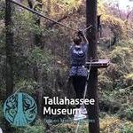 Tallahassee Museum