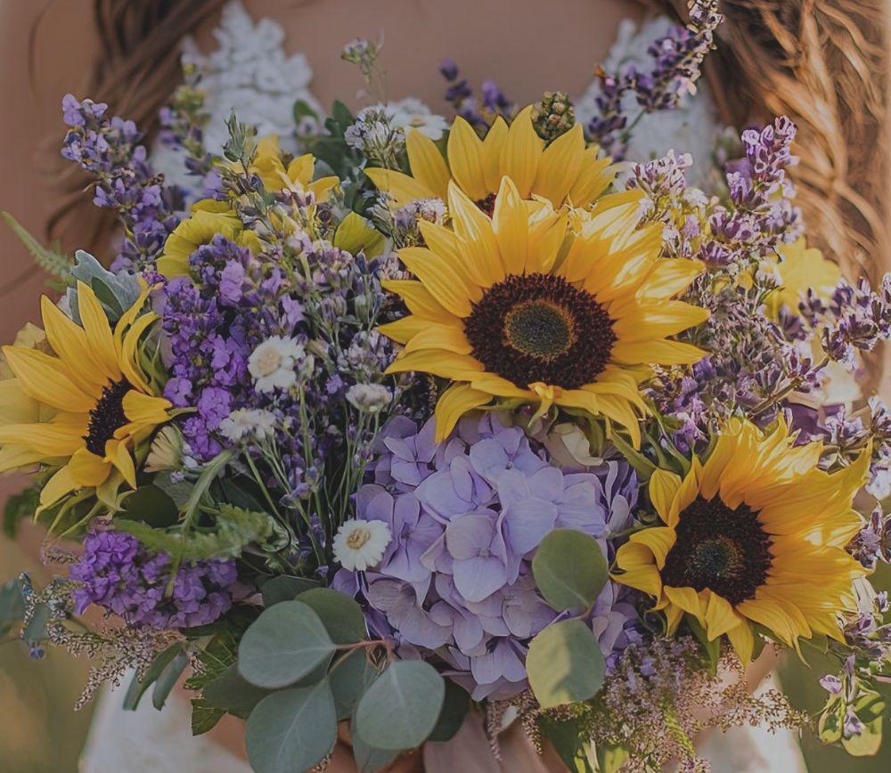 The Wedding Website of Caroline A Cammelot and Justin D Morrison