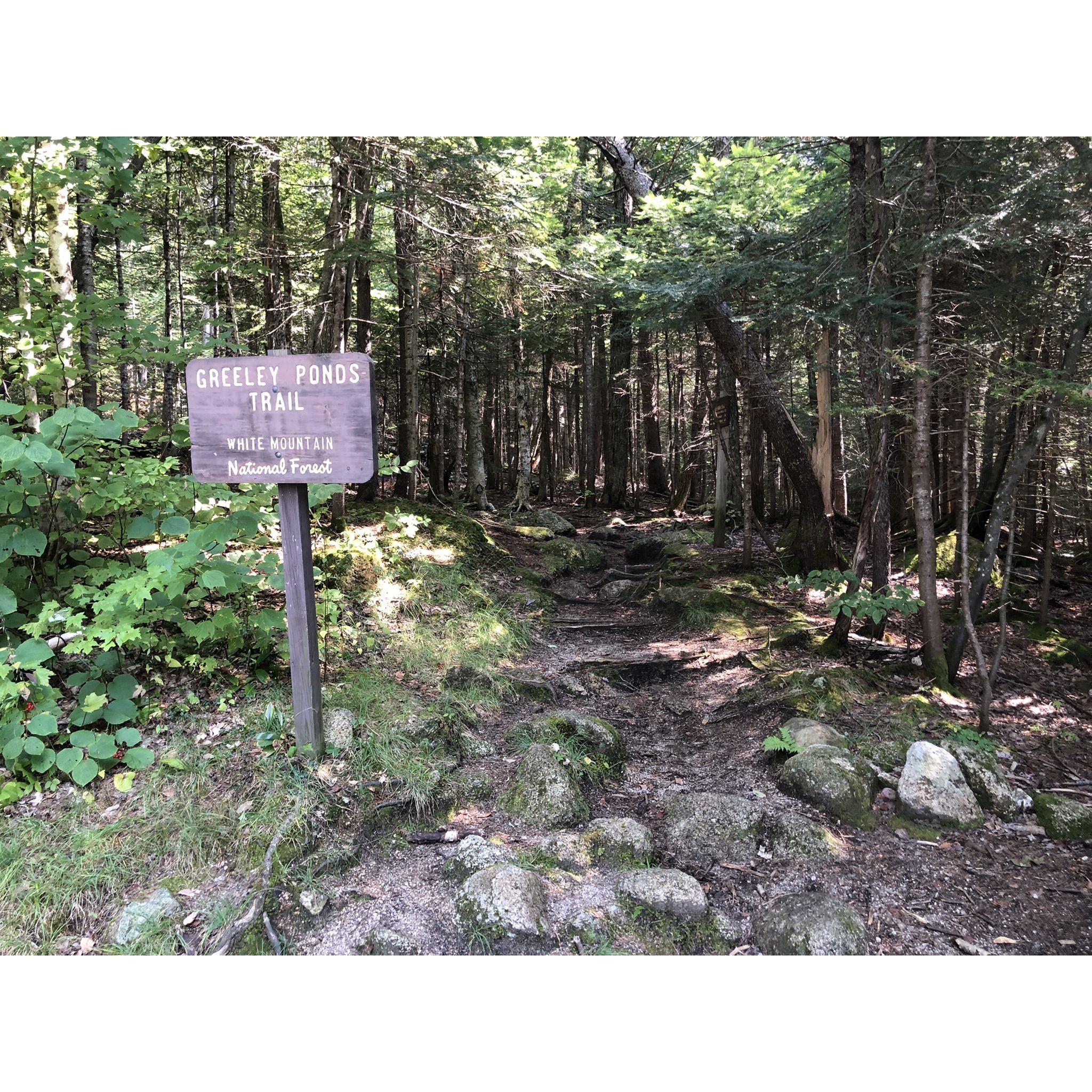 Camping White Mts. 2022!