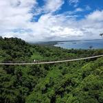 VANUATU JUNGLE - Zipline, Sky Bridge, Canyon Swing and Bungy Jump