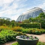 Garfield Park Conservatory