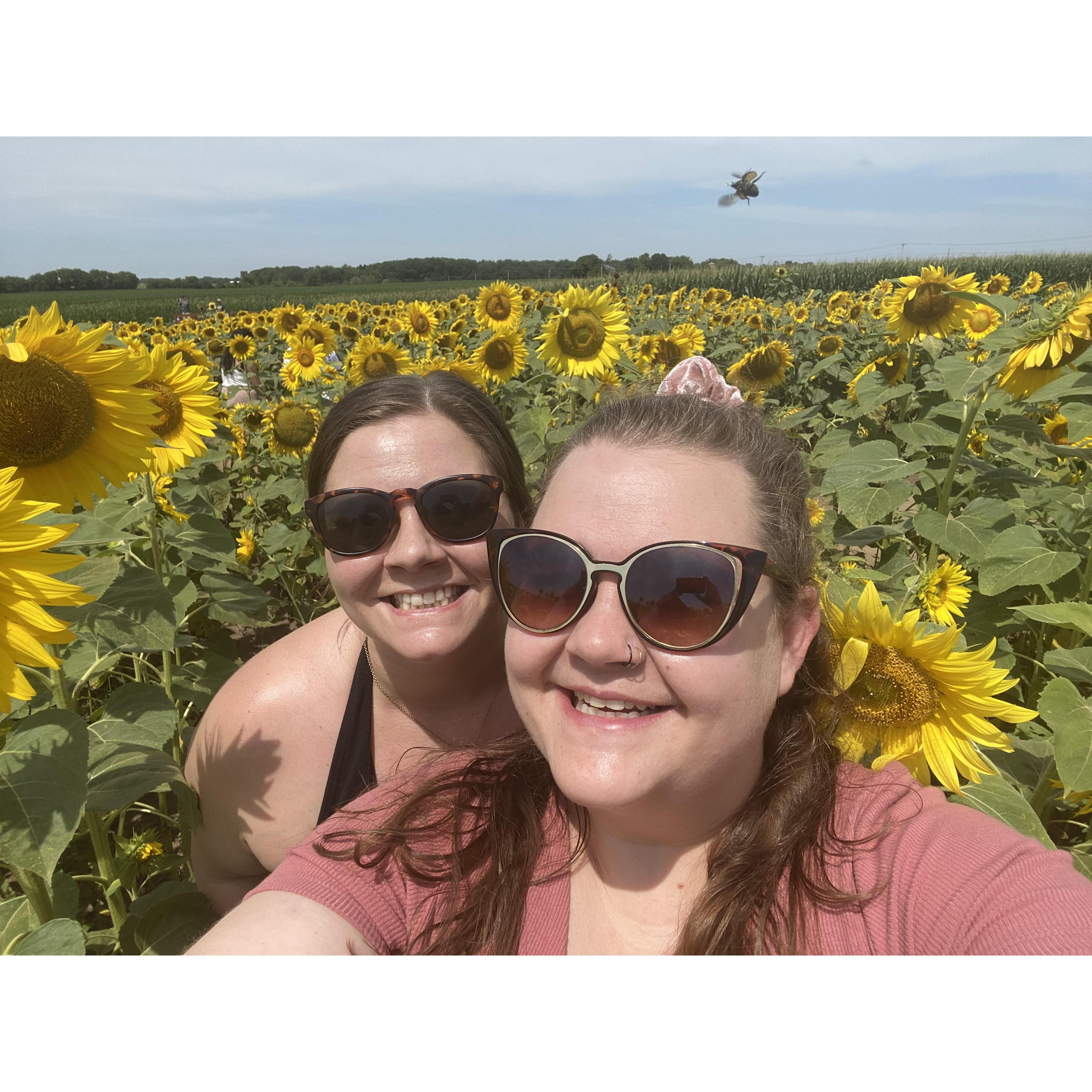 We love sunflowers!