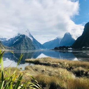 New Zealand Honeymoon