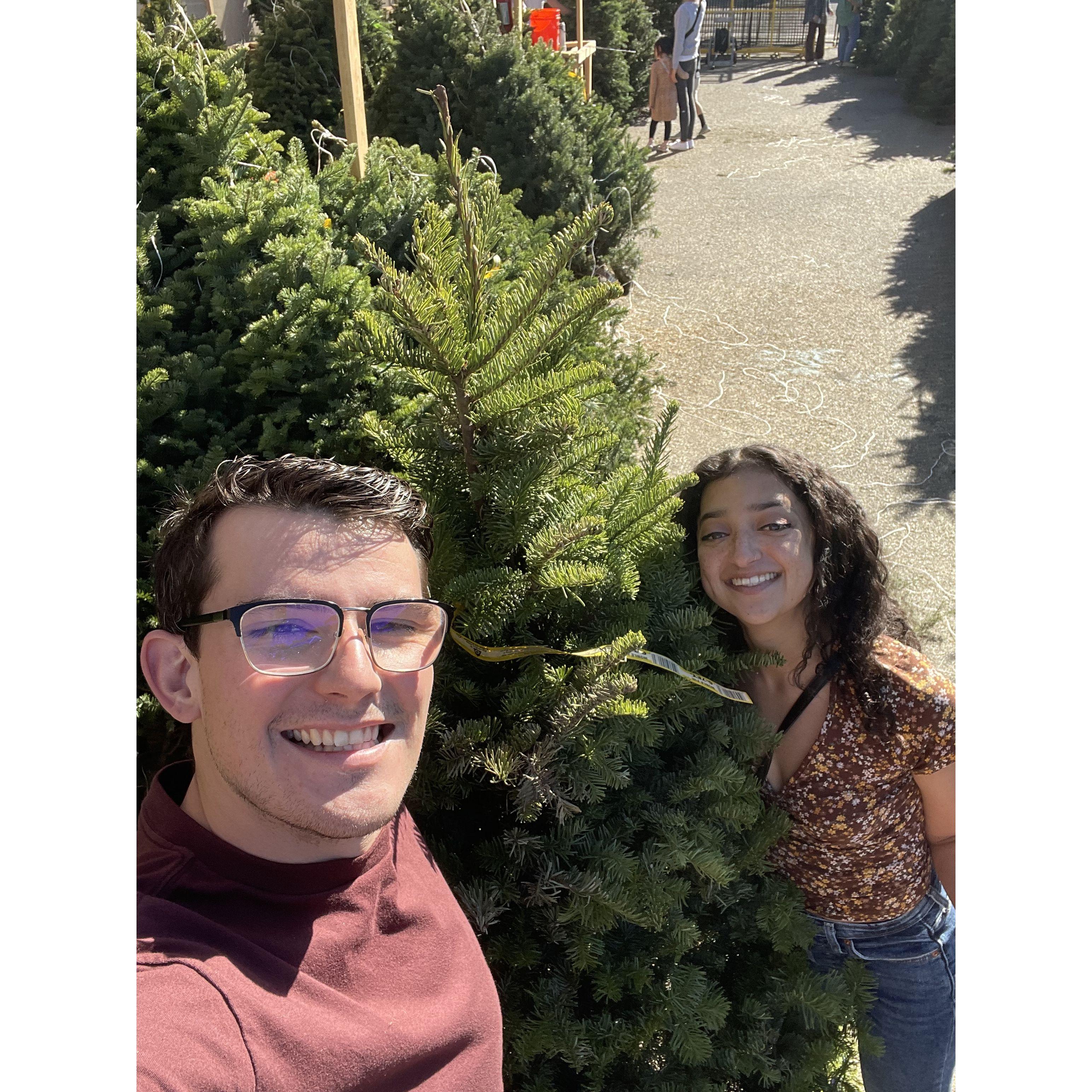 First Christmas Tree!! 2022