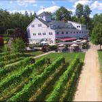 Zorvino Vineyards