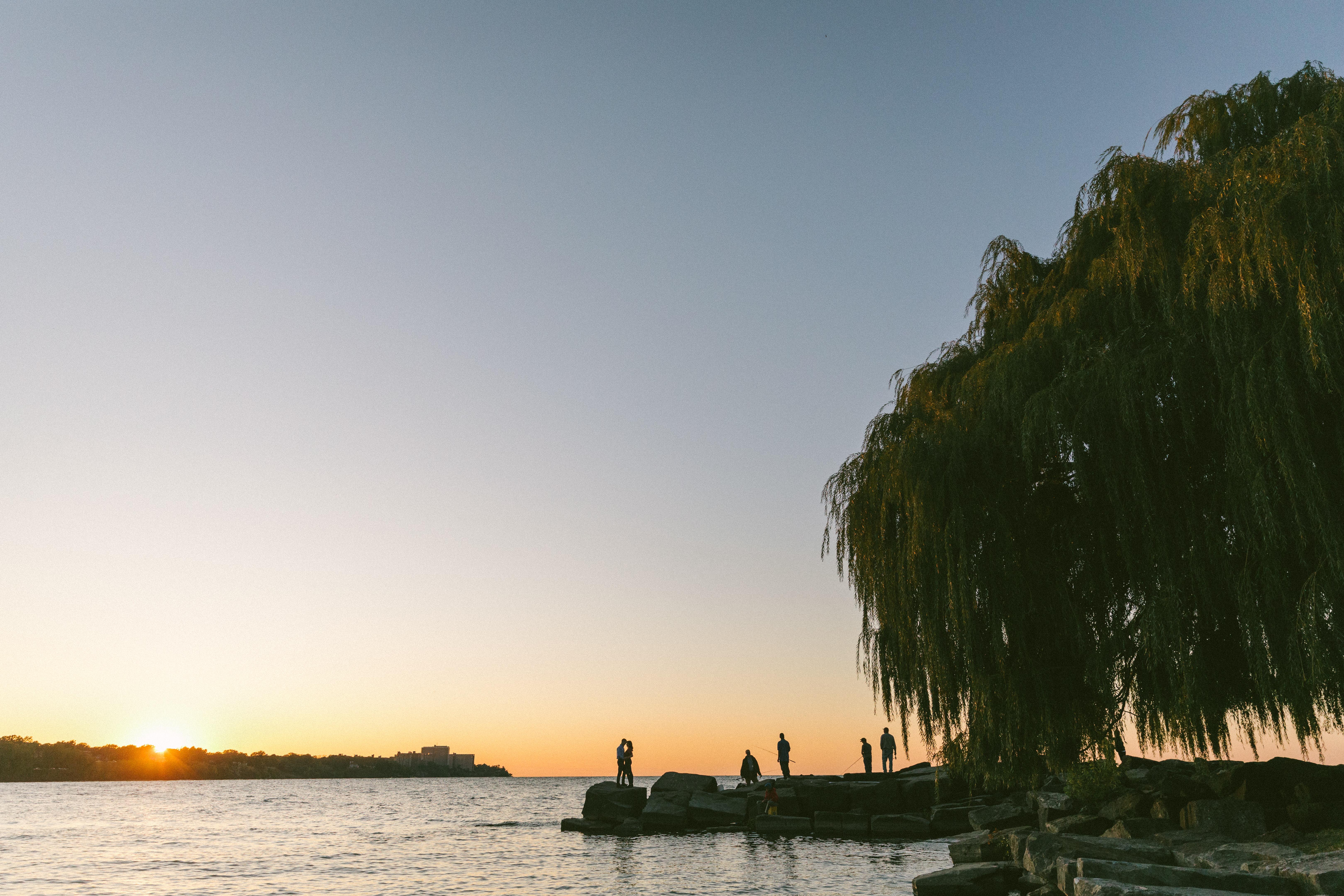 The Wedding Website of Kate McFadden and Jeremy O'Reilly