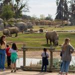 Fresno Chaffee Zoo