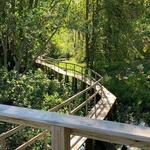 Sarett Nature Center