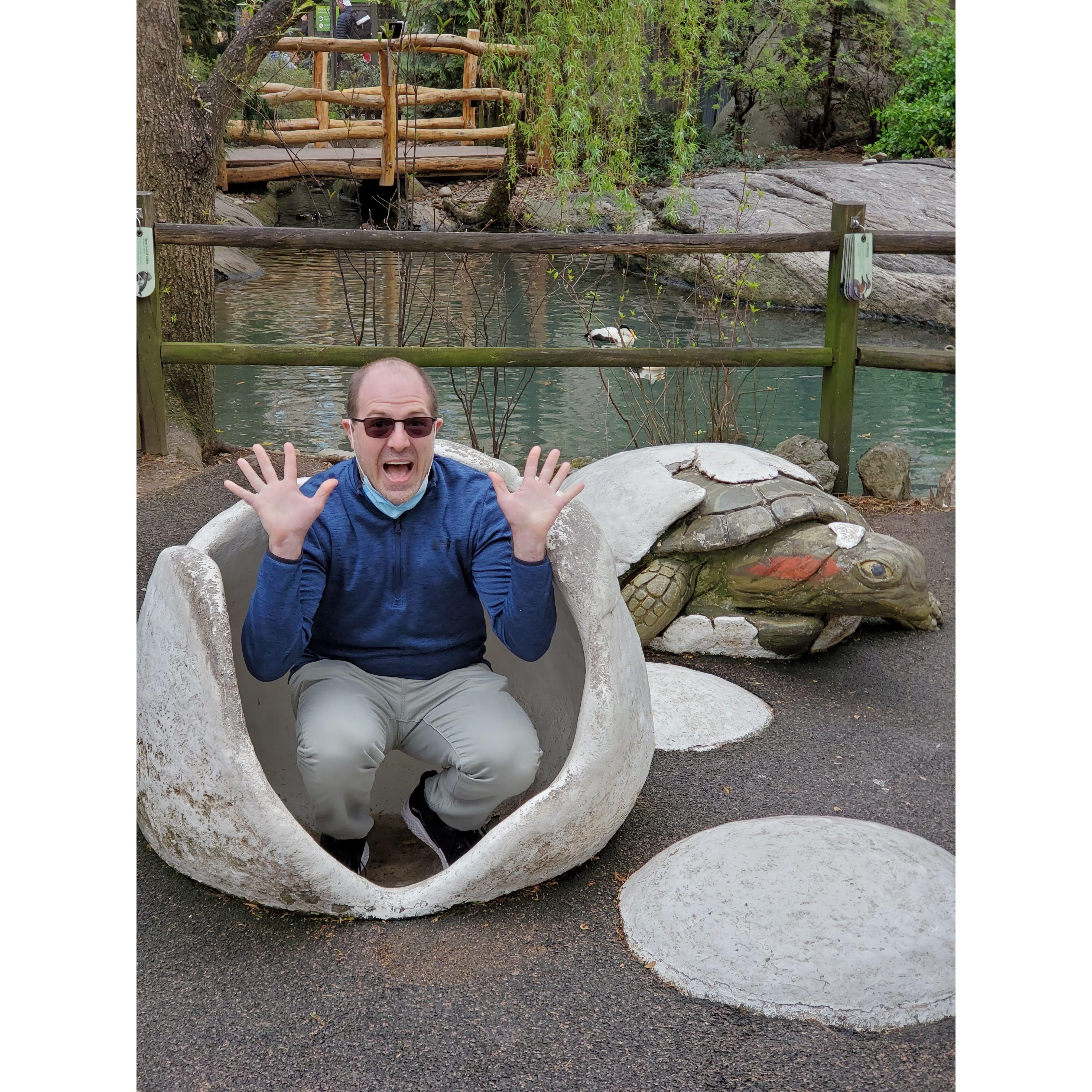 Visiting Central Park Zoo