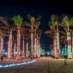Marina Square- Holiday Lights Spectacular