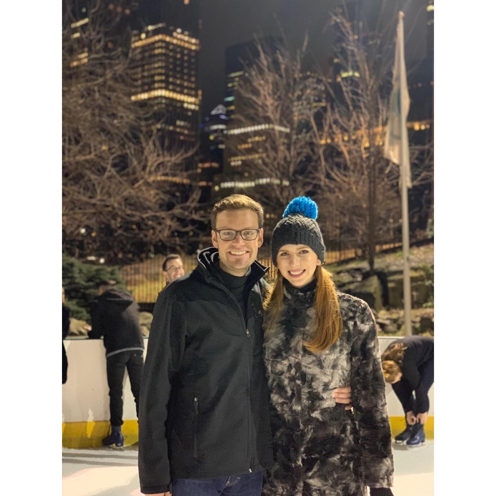 Central Park, Christmas 2018