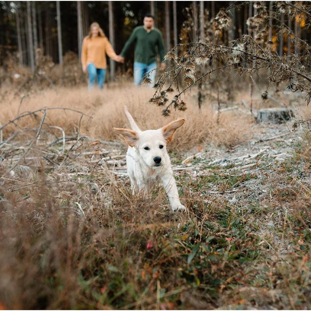 If you know us, you're not surprised to see our sweetest girl in our engagement photos!