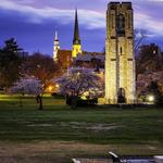 Baker Park