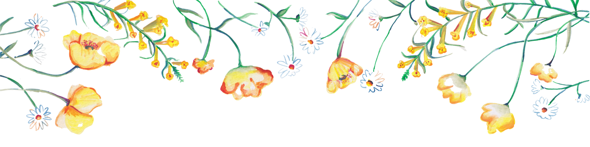 The Wedding Website of Emily Gex and Hunter Lukken