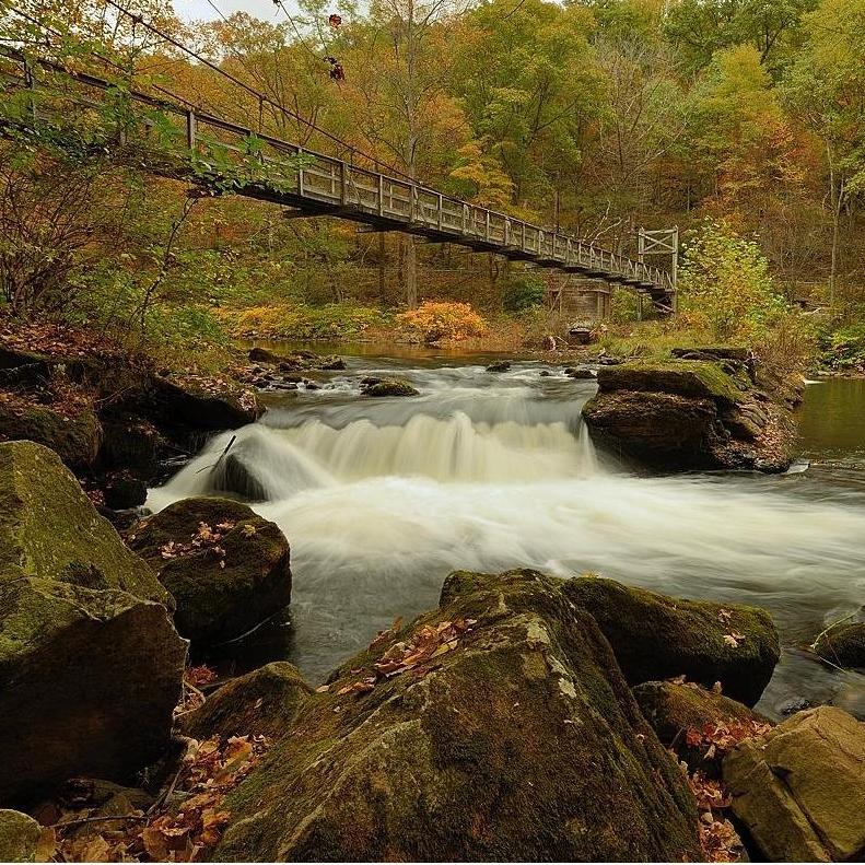 Photographing the fall foliage.