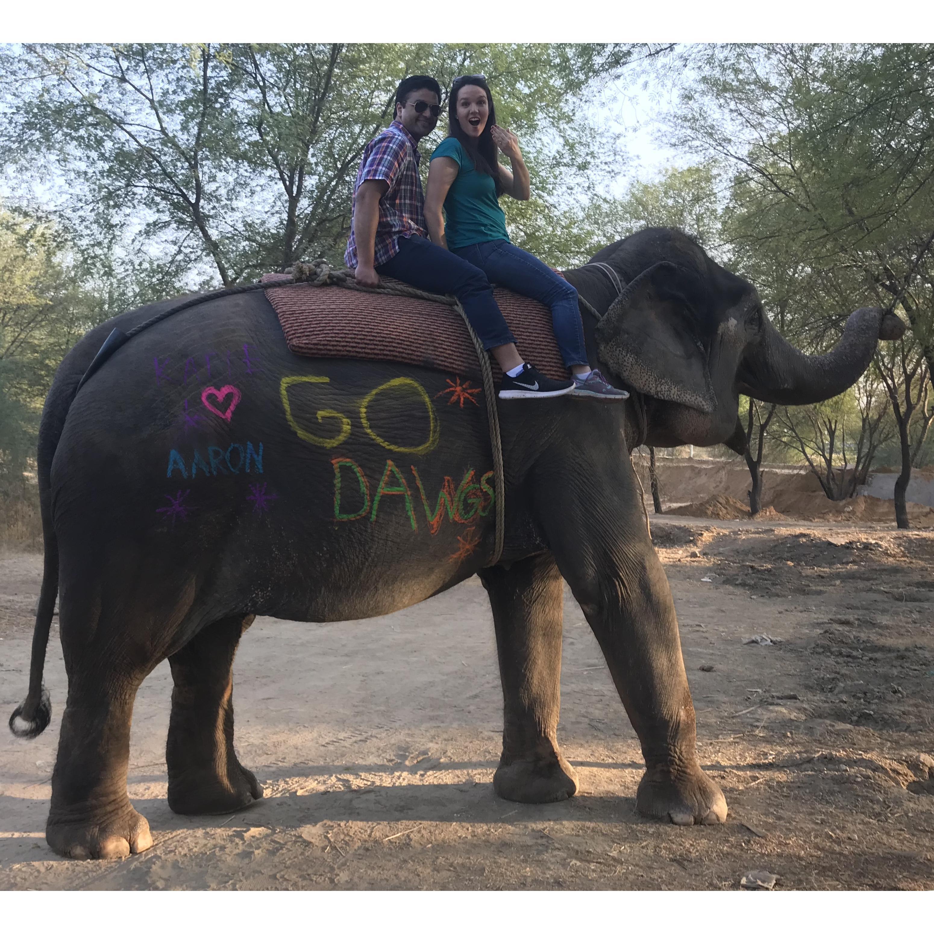 Elephant riding in Jaipur