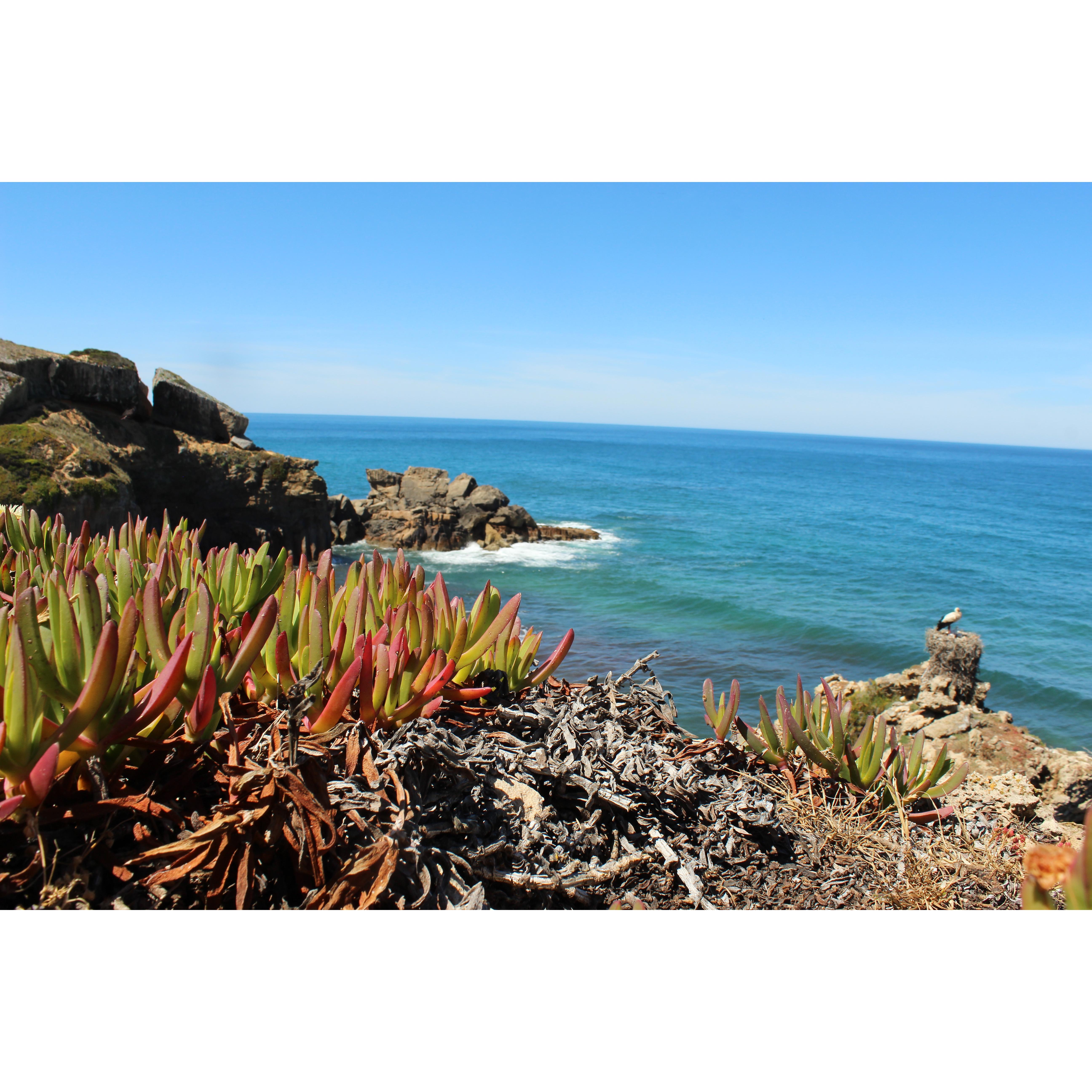 Backpacking the Rota Vicentina in Portugal, Summer 2017