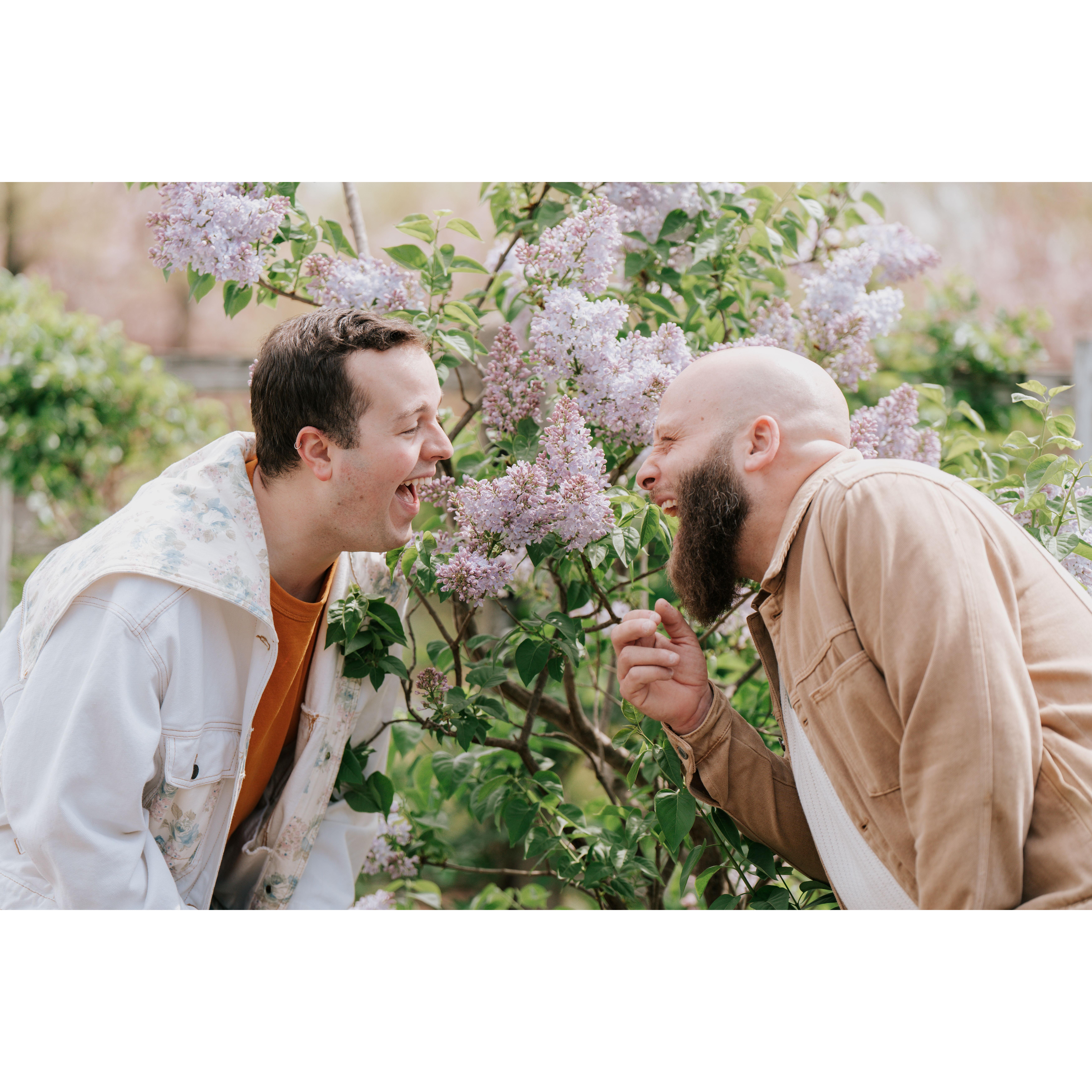 Ooh! Lilacs!