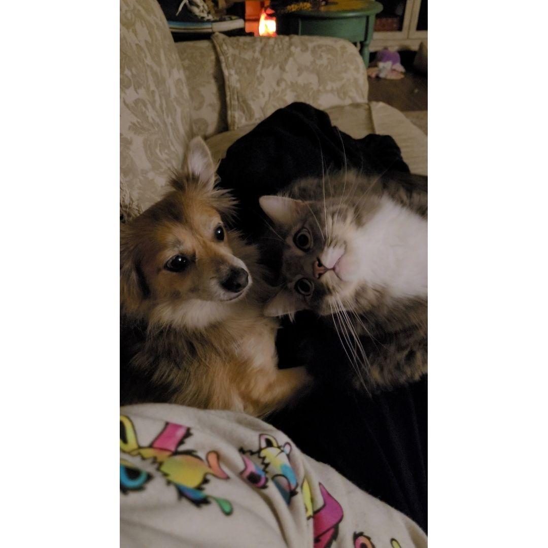 Our beautiful boys :)