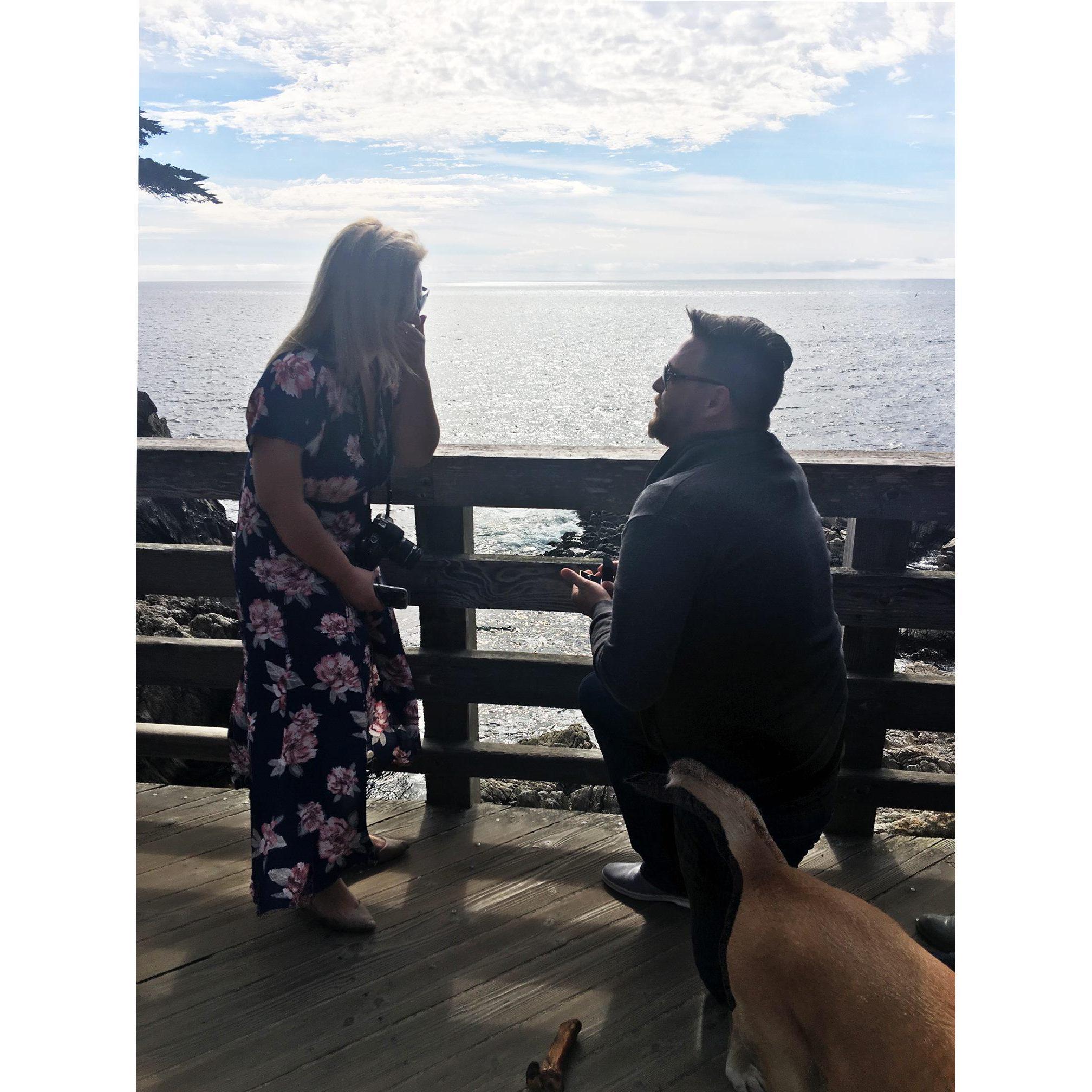 The big proposal at the Lone Cypress Tree in Monterey.