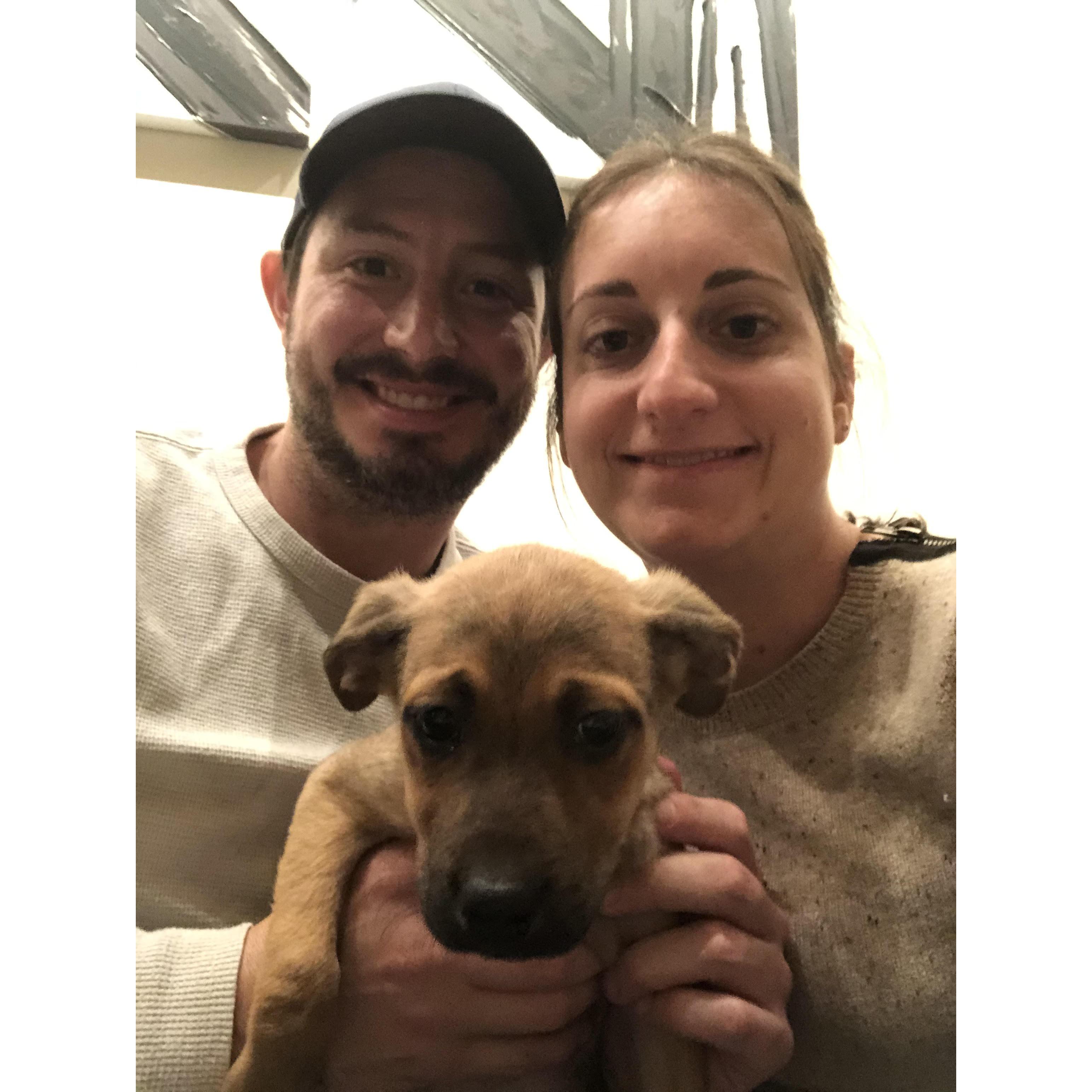 Our first night with your furchild- Kevin