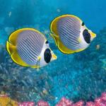 Long Island Aquarium