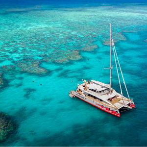 Boat Day to Great Barrier Reef