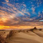 Jockey's Ridge State Park