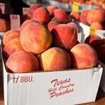 Texas Peaches