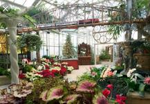 Frederik Meijer Gardens