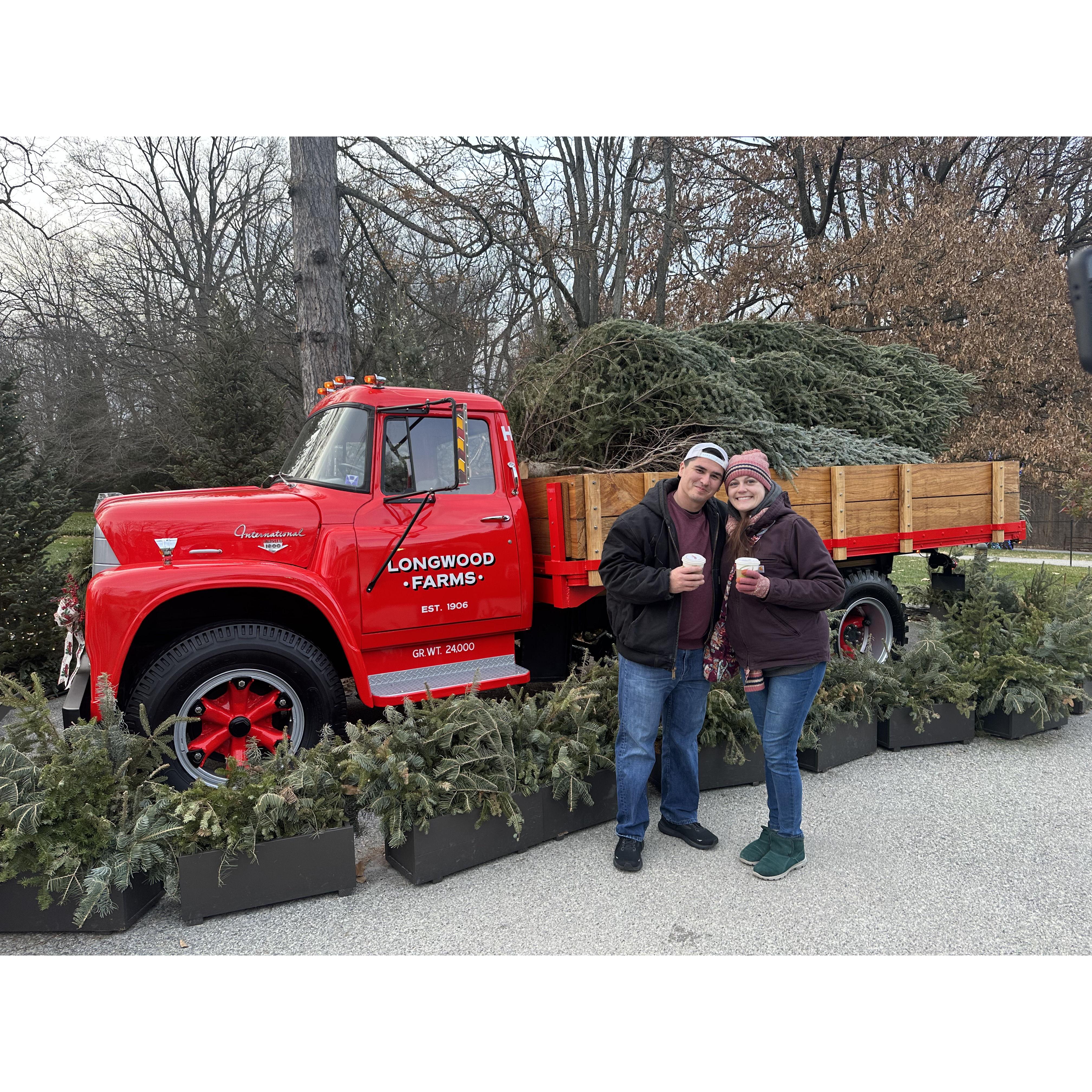 Longwood Garden's Christmas light show
