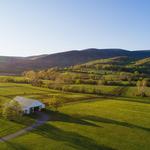 King Family Vineyards