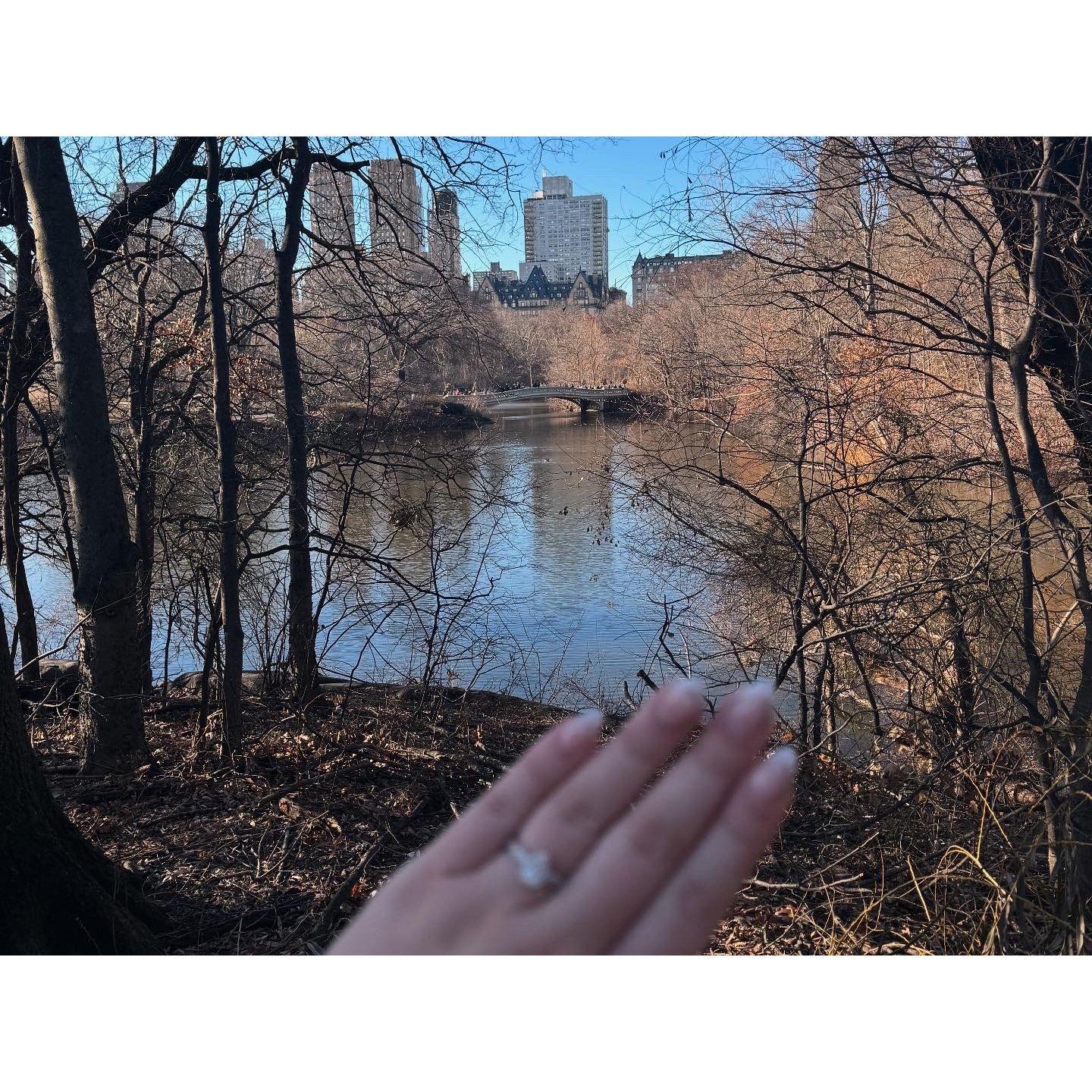The view of our proposal!