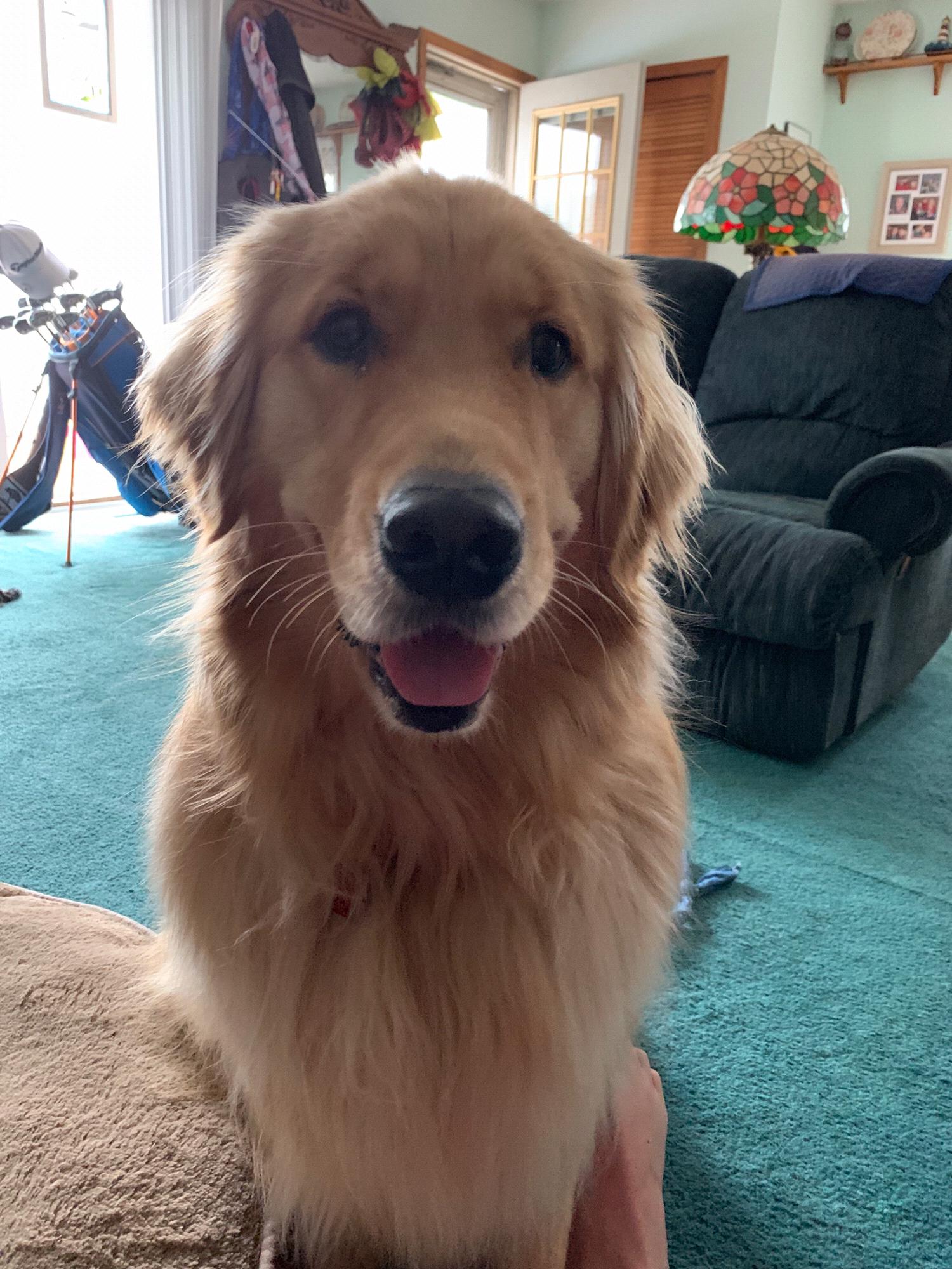 Stella!!