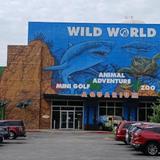 Branson's Wild World