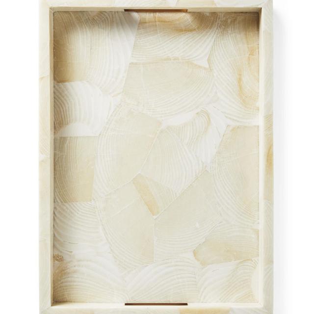 Stonington Clam Shell Tray