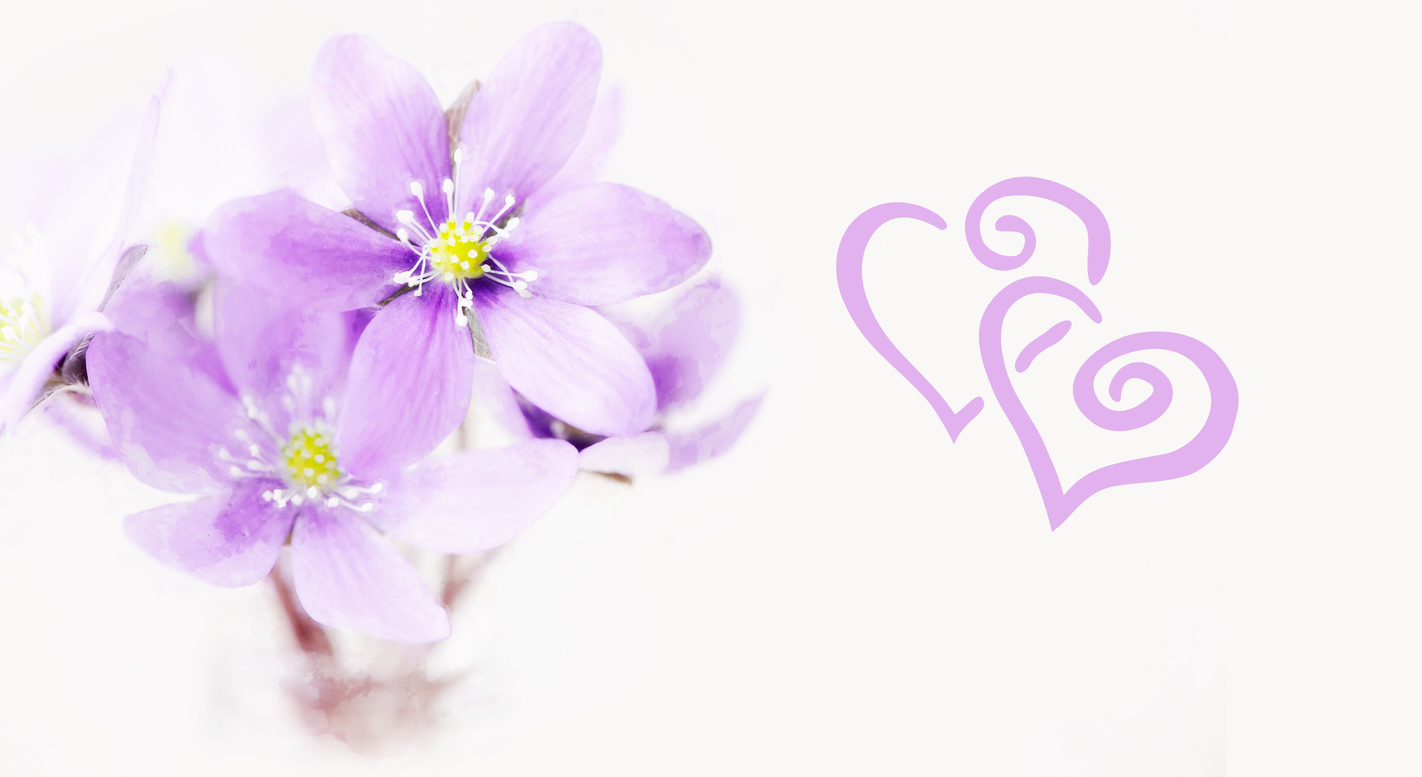 Footer image