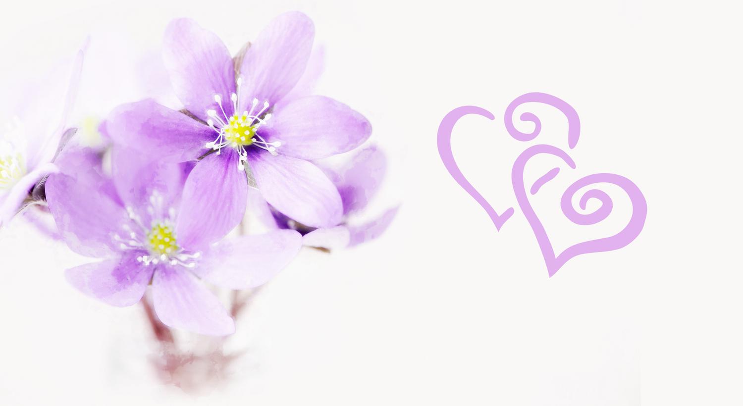 Footer image