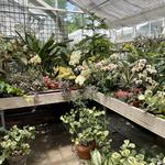 The Newfield Gardens