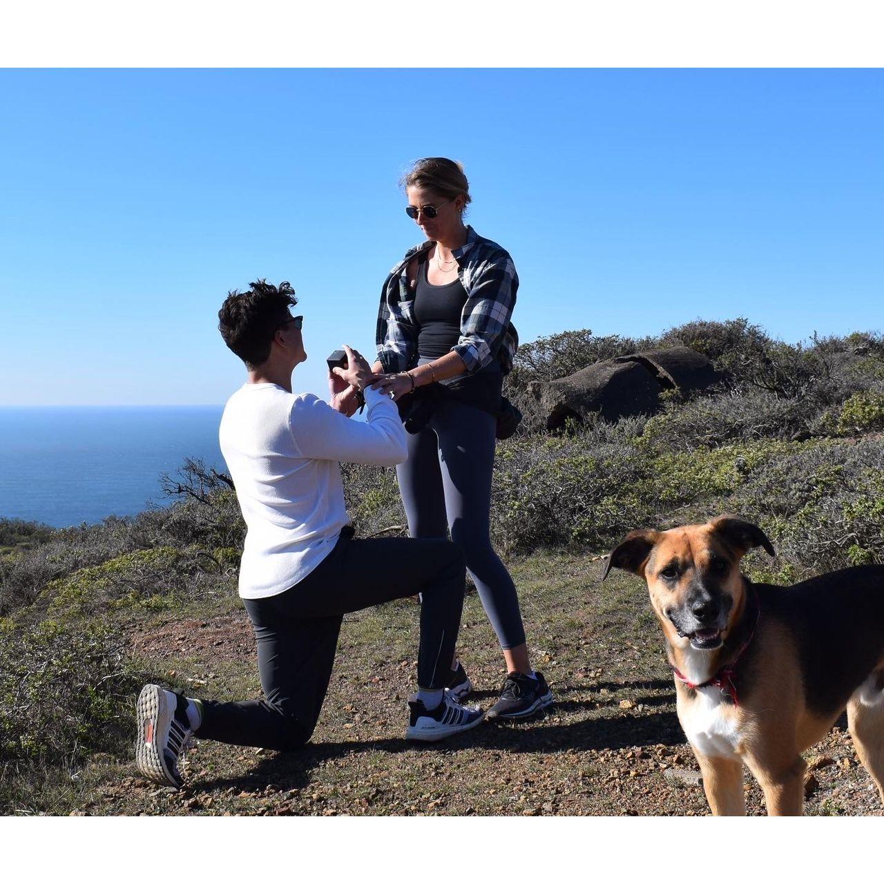 The most epic, perfect proposal by Amin!