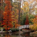 Sarah P. Duke Gardens