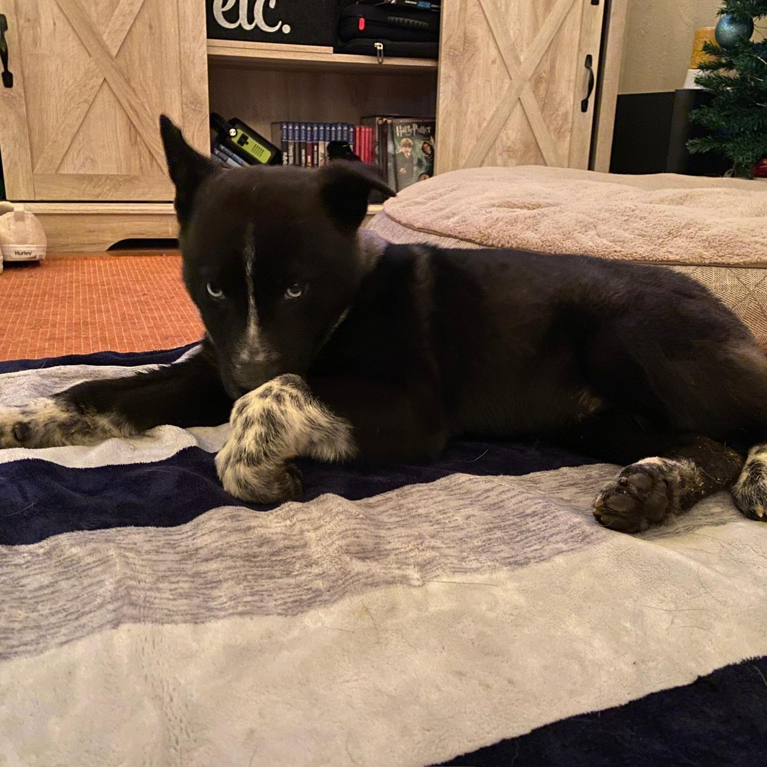 First night with Winston