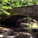 William B. Umstead State Park