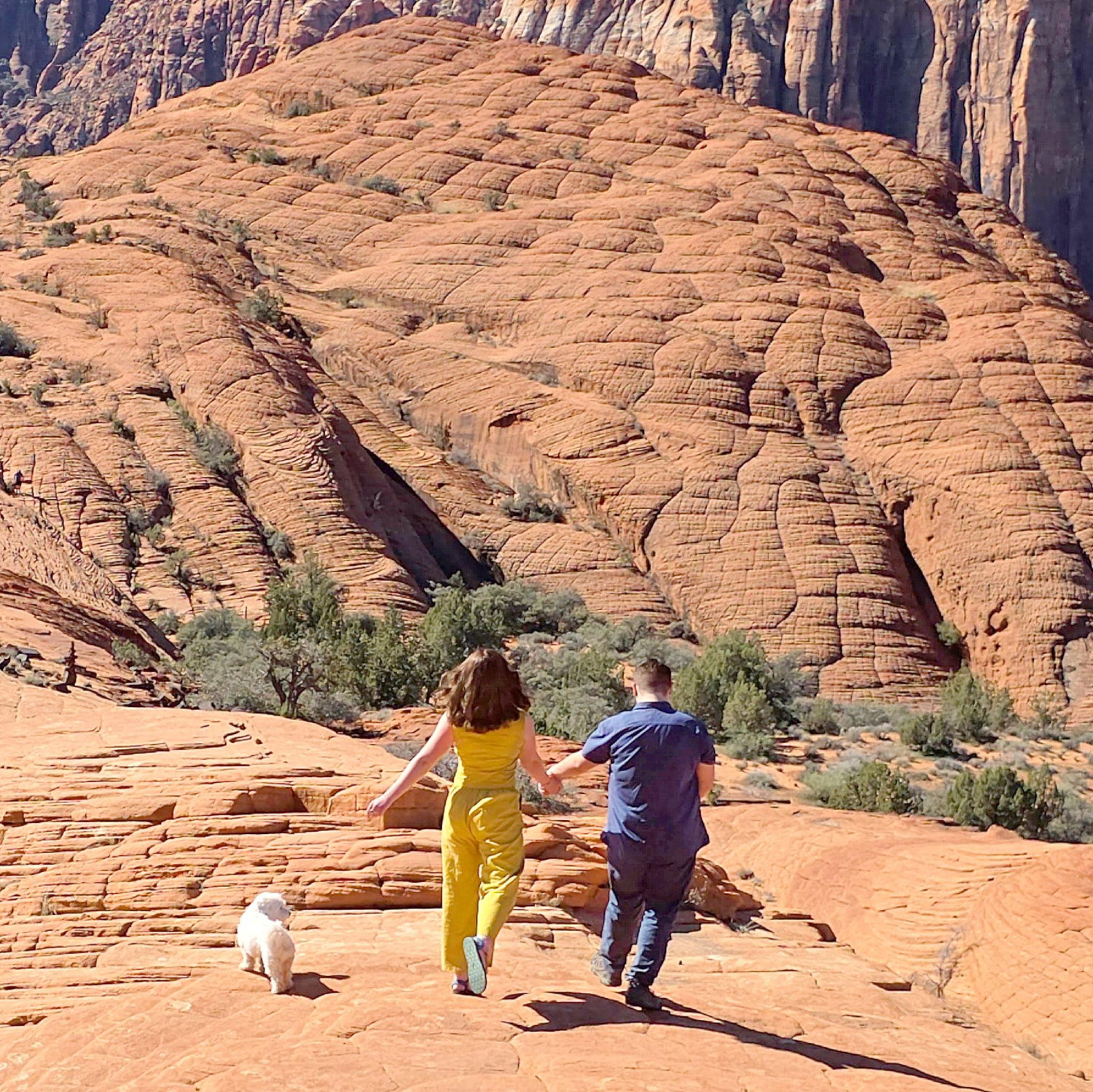 Running off into our new future