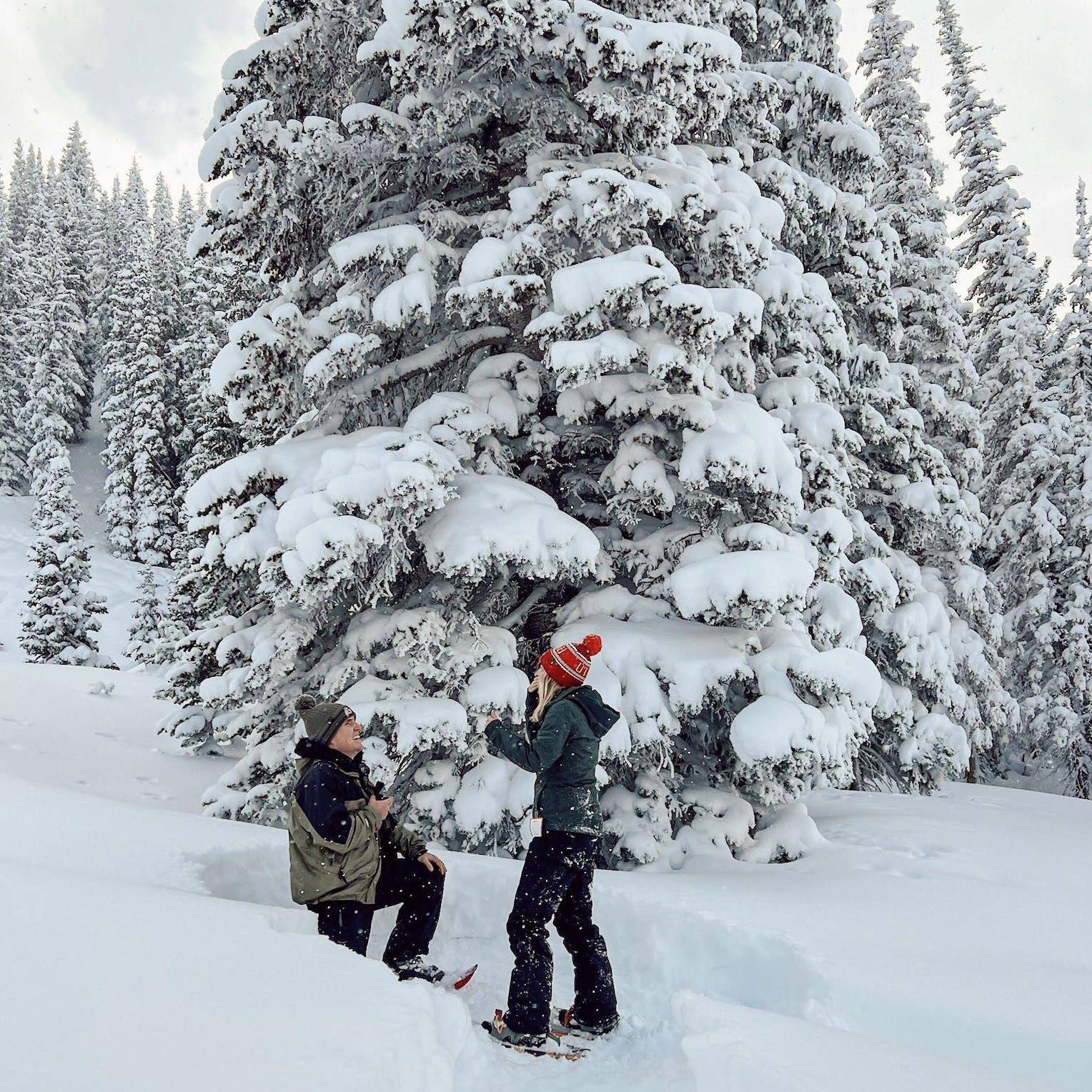 Nate's dreamy winter wonderland proposal!