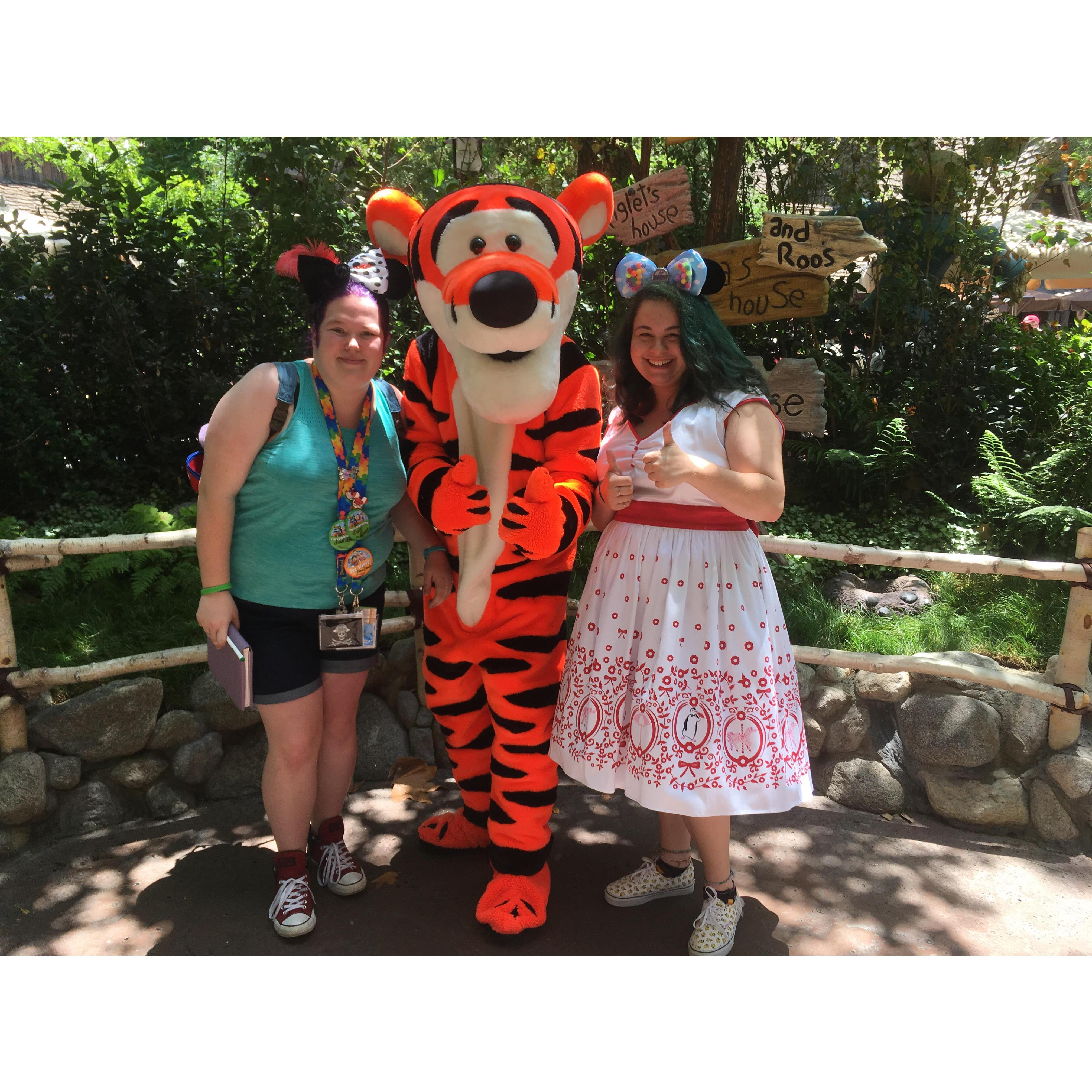 Disneyland, 2018