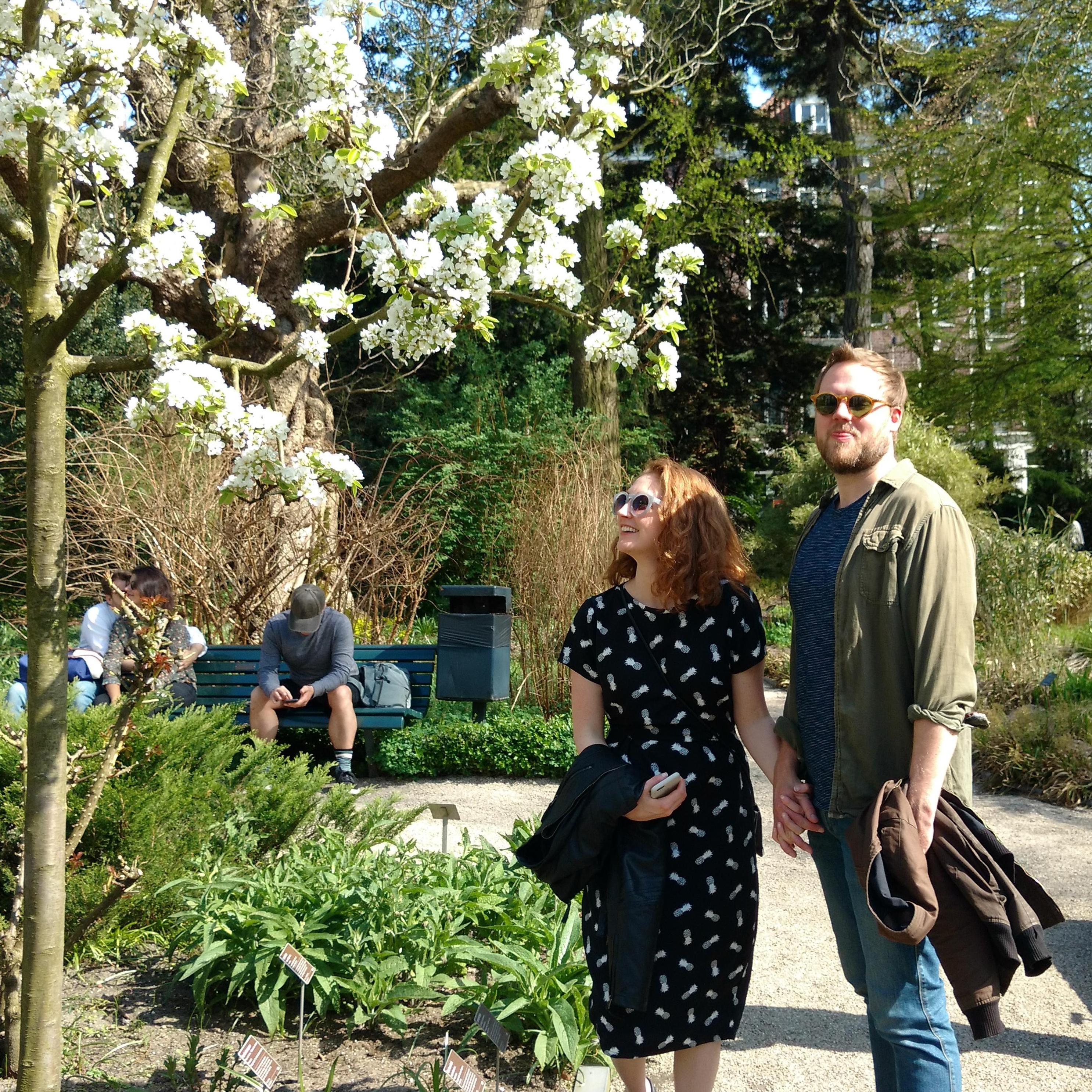 Hortus Botanicus Amsterdam, photo by Benoit Alary.