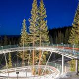 Breathtaker Alpine Coaster