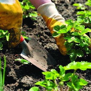 Gardening Funds