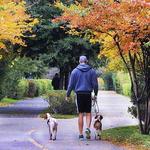 Katy Trail